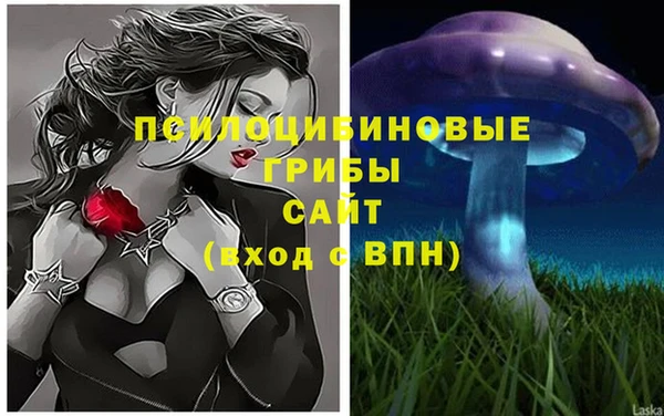 ECSTASY Баксан