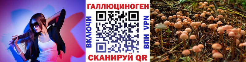 где купить   Красный Холм  Галлюциногенные грибы GOLDEN TEACHER 